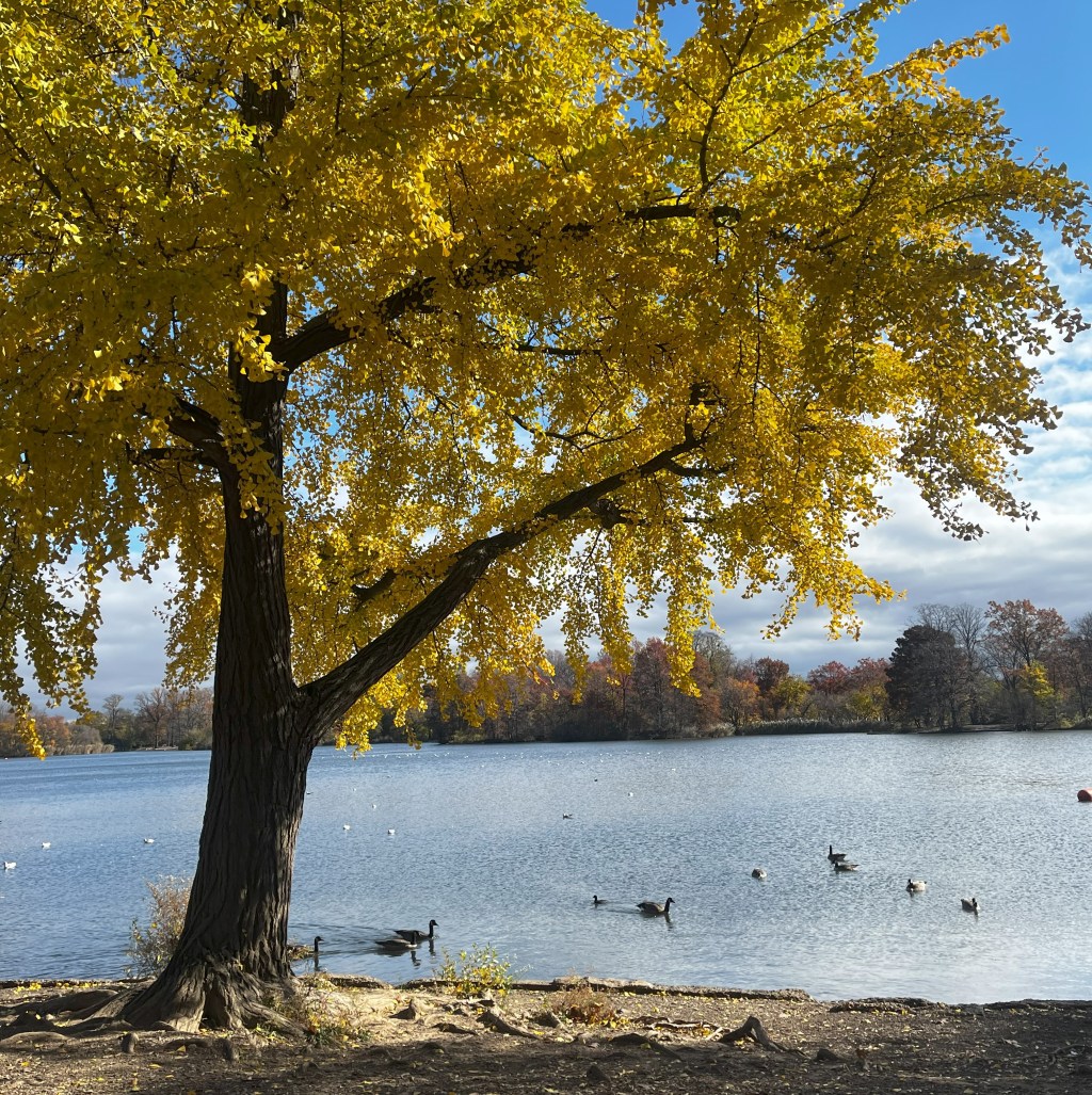 How much should I run per week when training for a&nbsp;marathon?